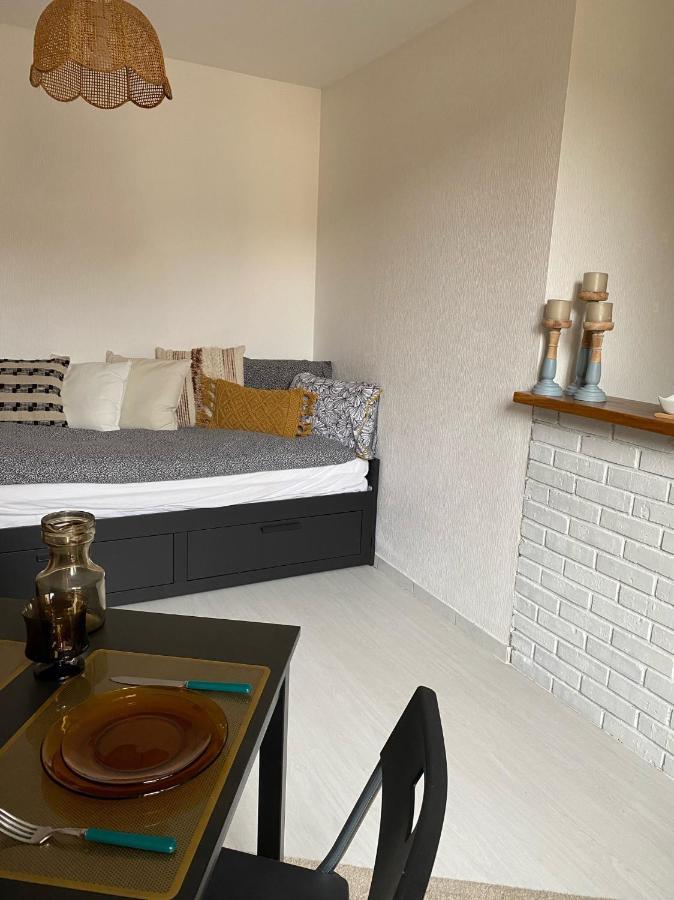 Le Nid - Studio Place Emile Zola / Parking Gratuit Dijon Ngoại thất bức ảnh